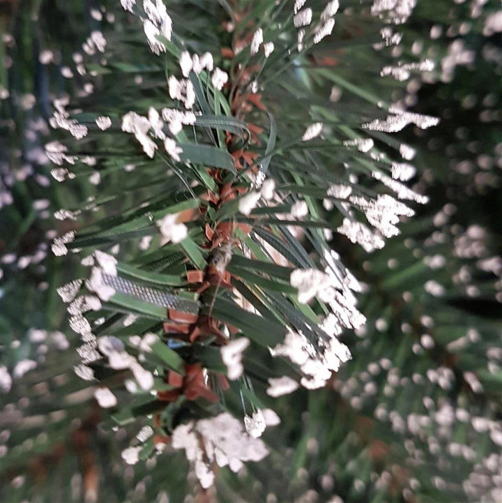 Premier Decorations 6ft Tipped Mountain Pinetree - Green