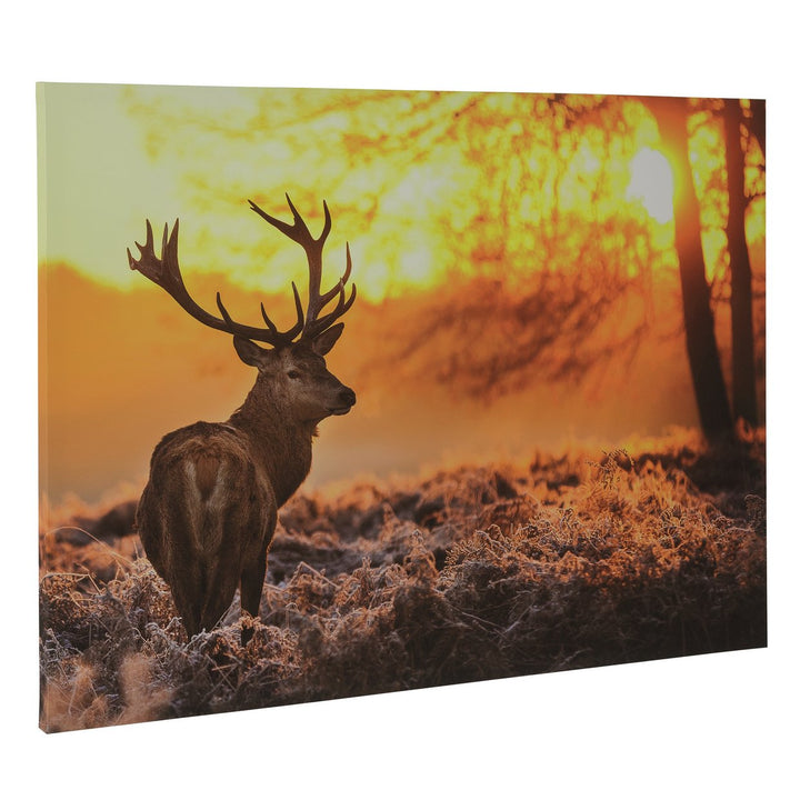 Home 80 x 60 cm Deer Stag Forest Wild Wall Art Print
