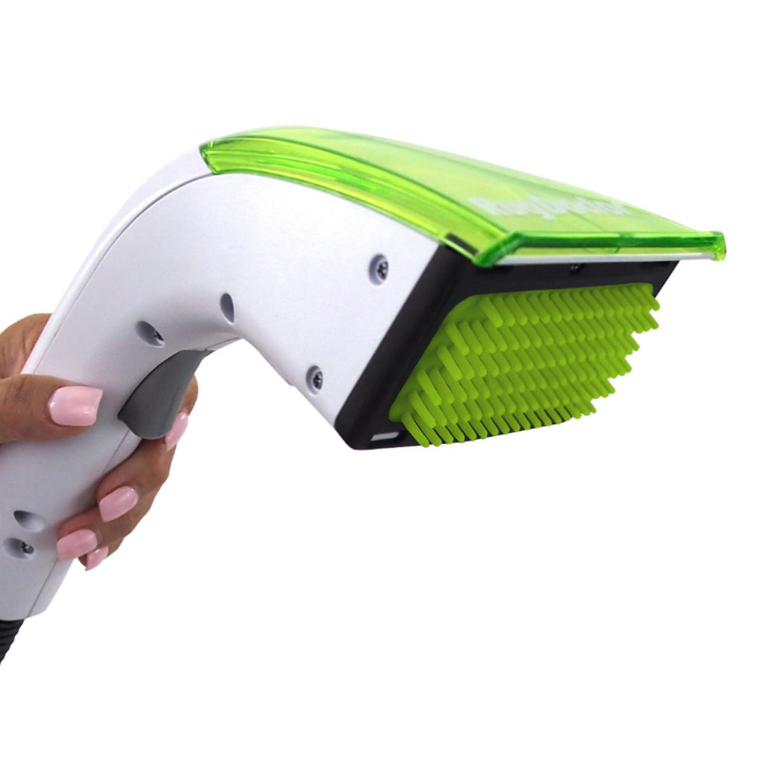Rug Doctor 1093407 Pet Portable Spot Cleaner