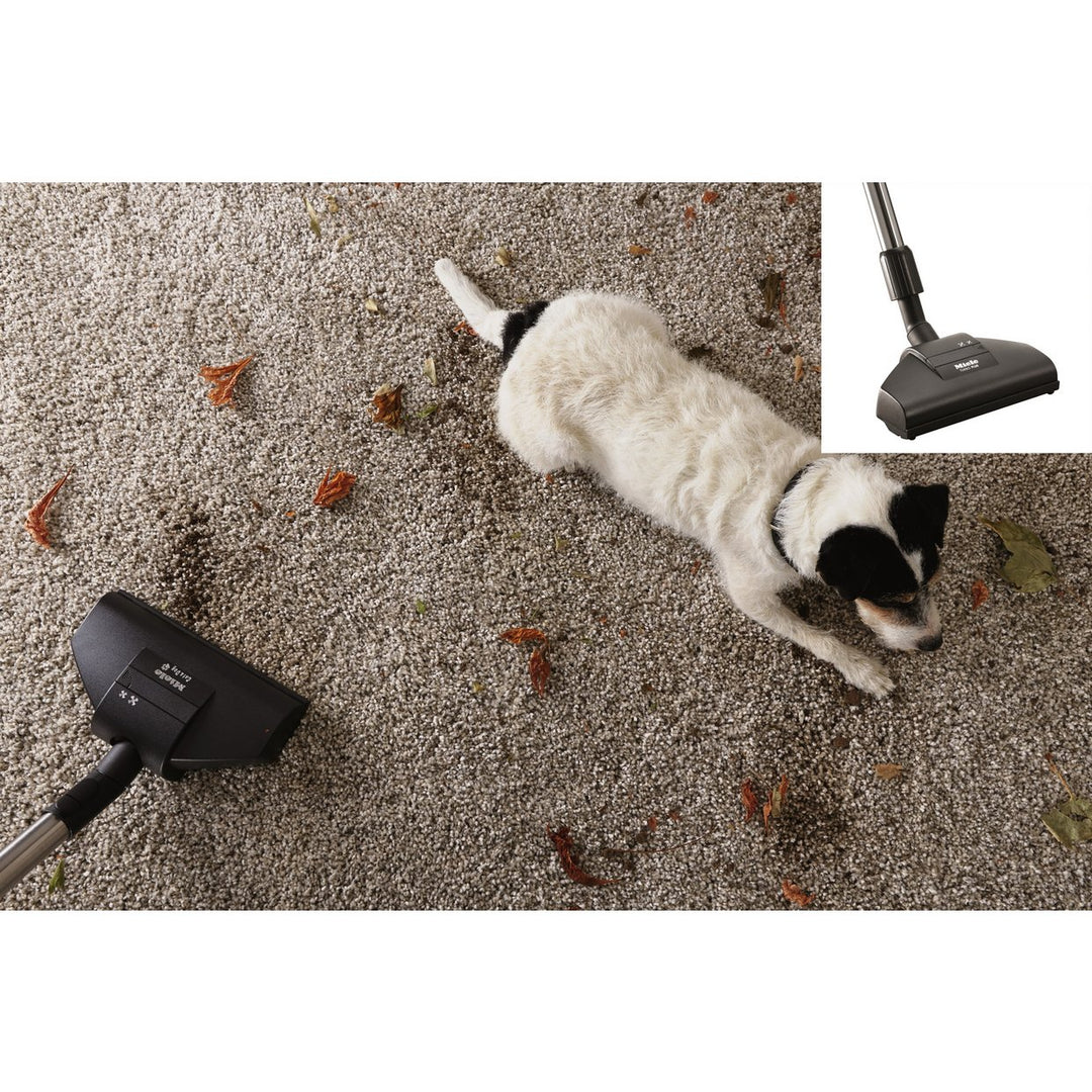 Miele C2 Cat &amp; Dog Powerline Bagged Cylinder Vacuum Cleaner