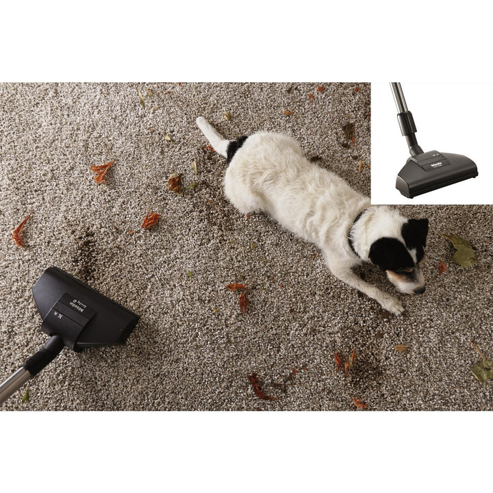 Miele C2 Cat &amp; Dog Powerline Bagged Cylinder Vacuum Cleaner