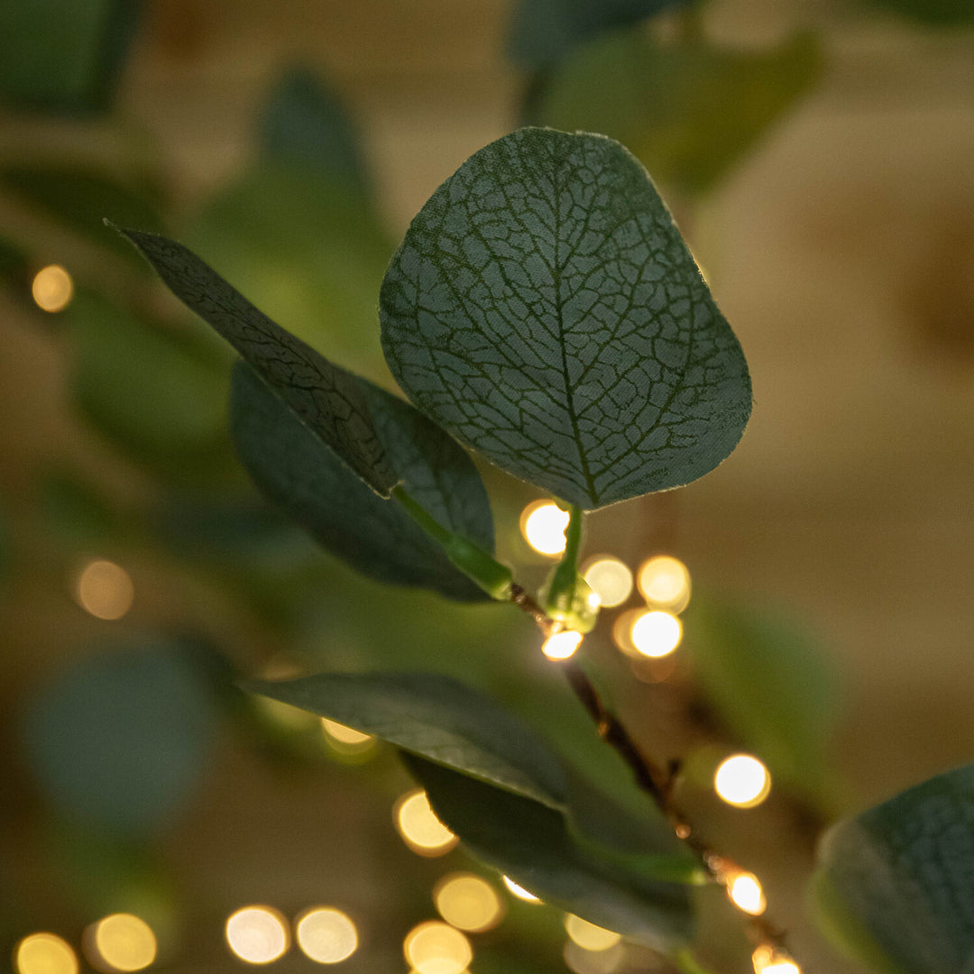 Samuel Alexander 6ft Light Up Eucalyptus Christmas Tree with 360 Warm White LEDs