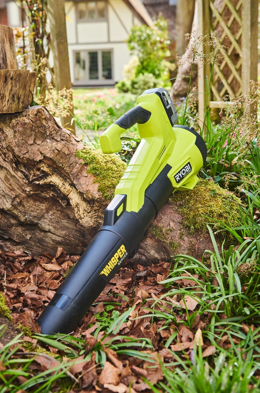 Ryobi RY18BLXC-140 18v ONE+ Cordless Whisper Leaf Blower