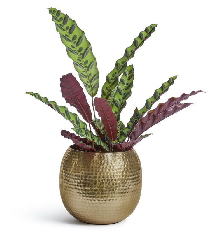 Home Gold Hammered Metal Planter