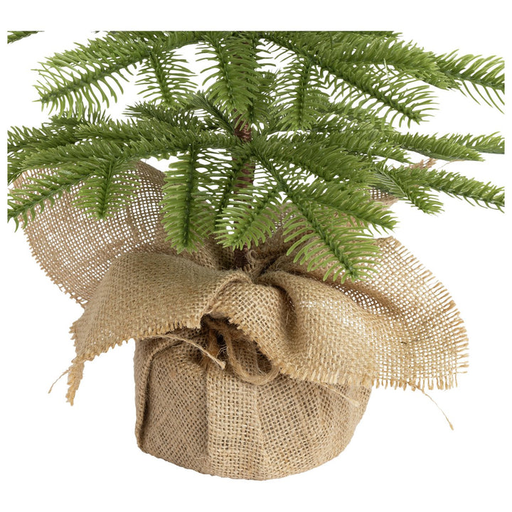 Habitat 2ft Pine Small Christmas Tree