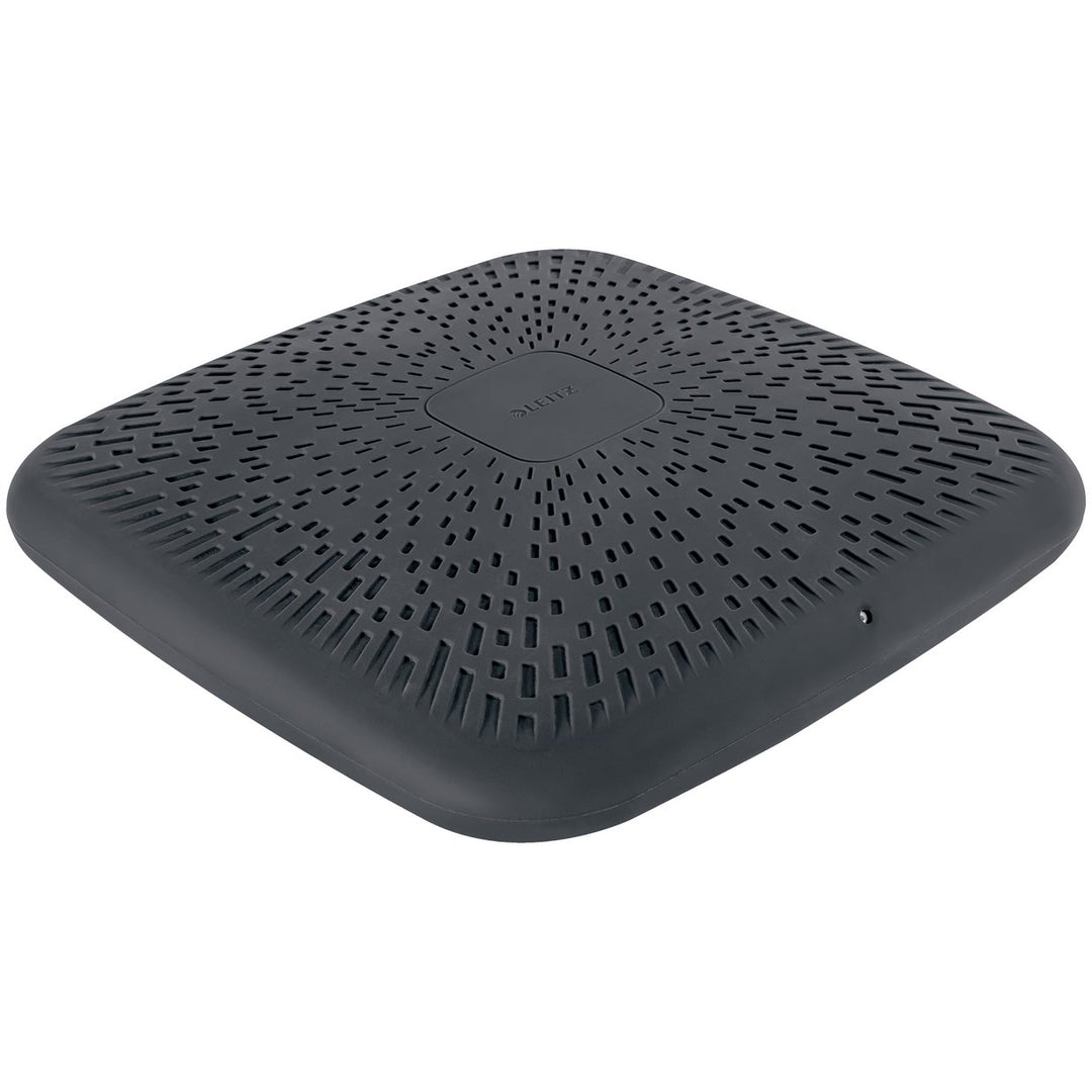 Leitz Ergo Active Wobble Cushion