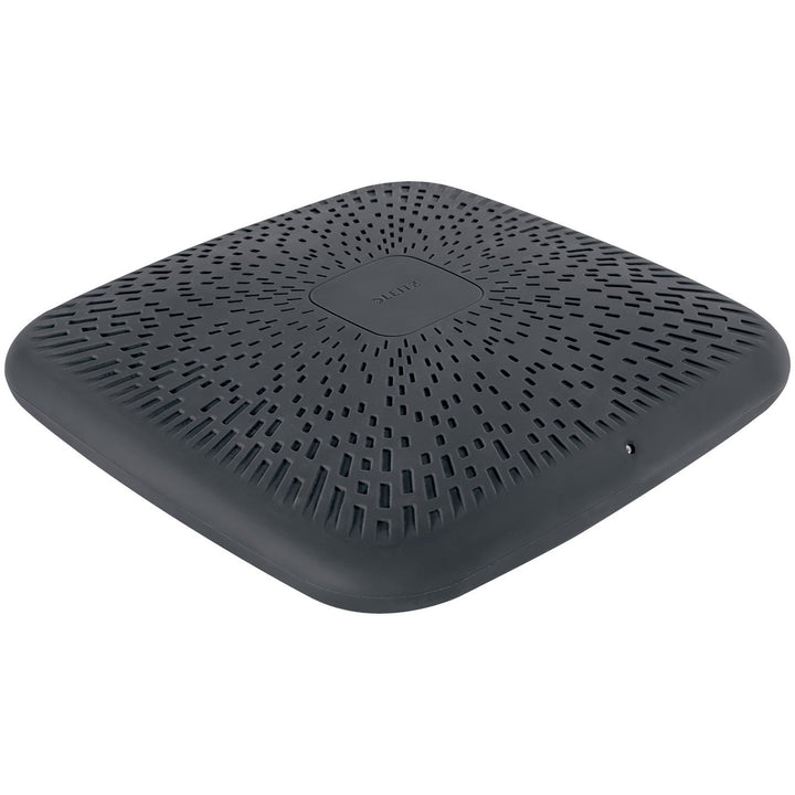 Leitz Ergo Active Wobble Cushion