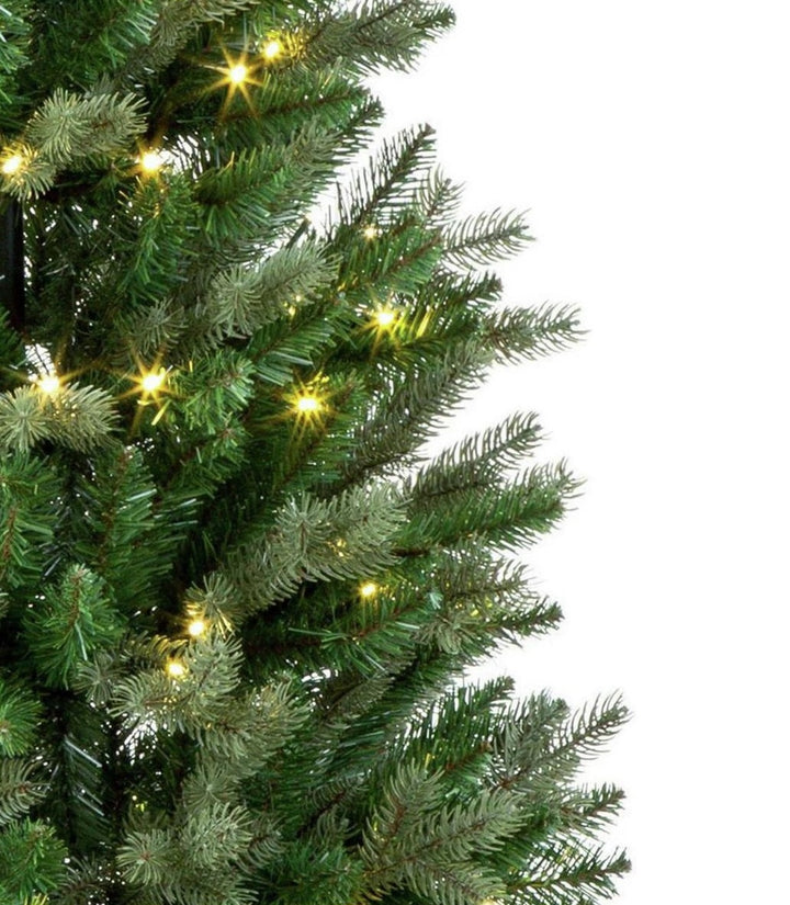Premier Decorations 6ft Campbell Spruce Pre-Lit Christmas Tree - Green
