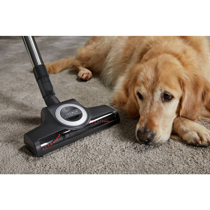 Miele Complete C3 Cat and Dog Bagged Cylinder Vacuum Cleaner