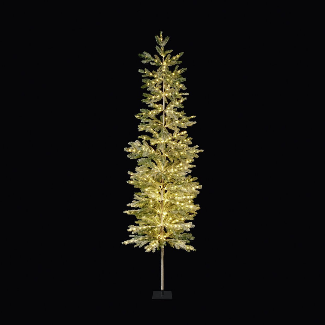 Premier Decorations 6ft Pre Lit Pine Needle Christmas Tree