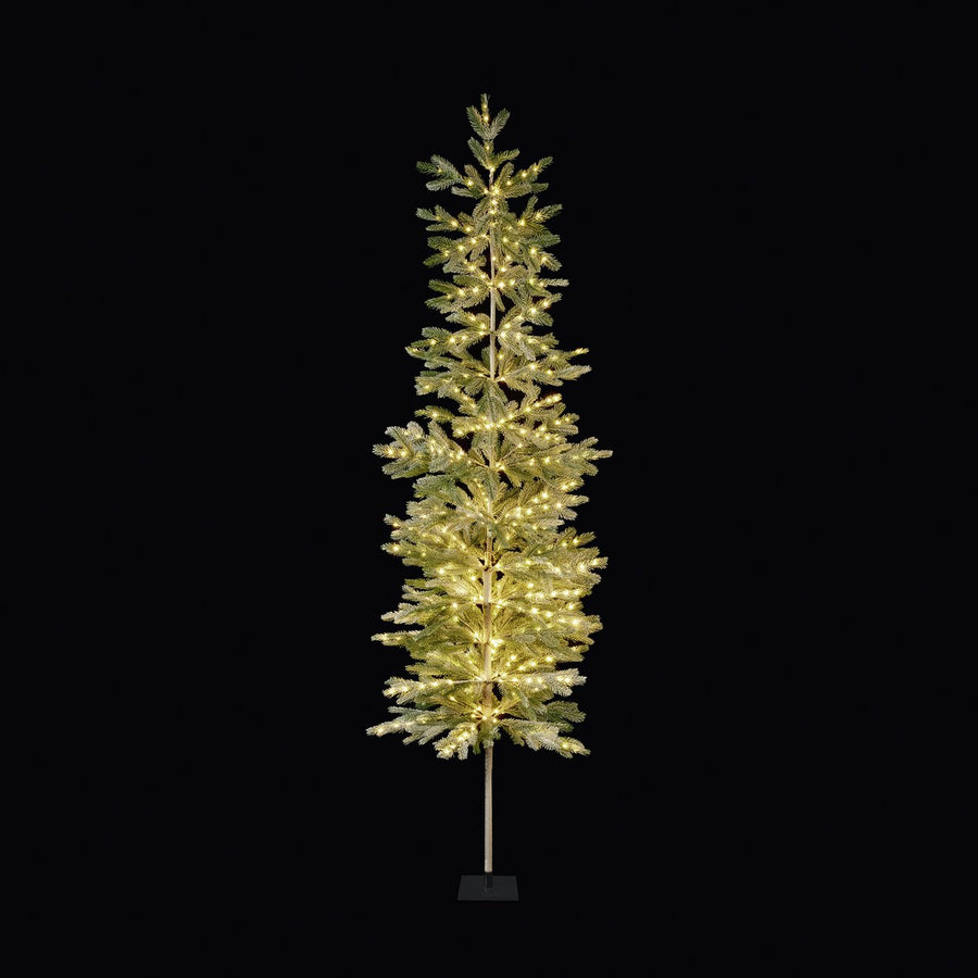 Premier Decorations 6ft Pre Lit Pine Needle Christmas Tree
