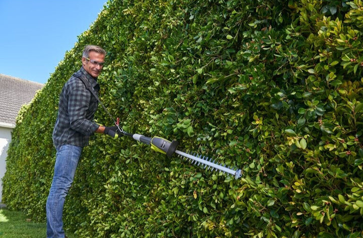 Ryobi RPT184520C 18V ONE+™ Cordless 45cm Pole Hedge Trimmer Starter Kit & Harness