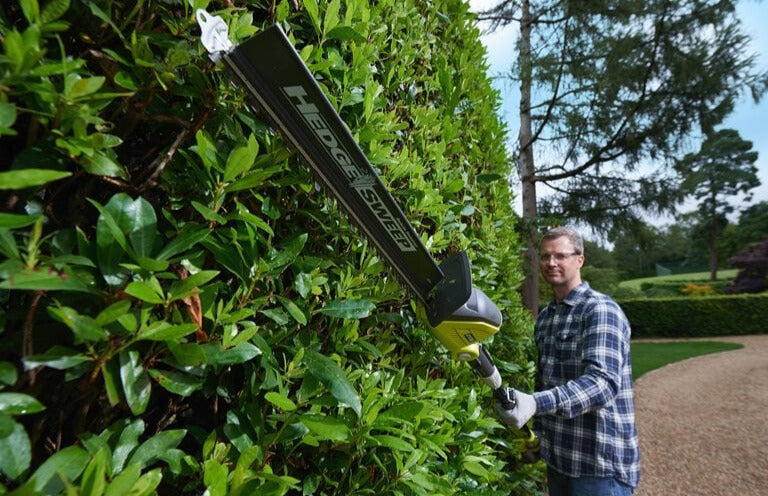 Ryobi RPT184520C 18V ONE+™ Cordless 45cm Pole Hedge Trimmer Starter Kit & Harness