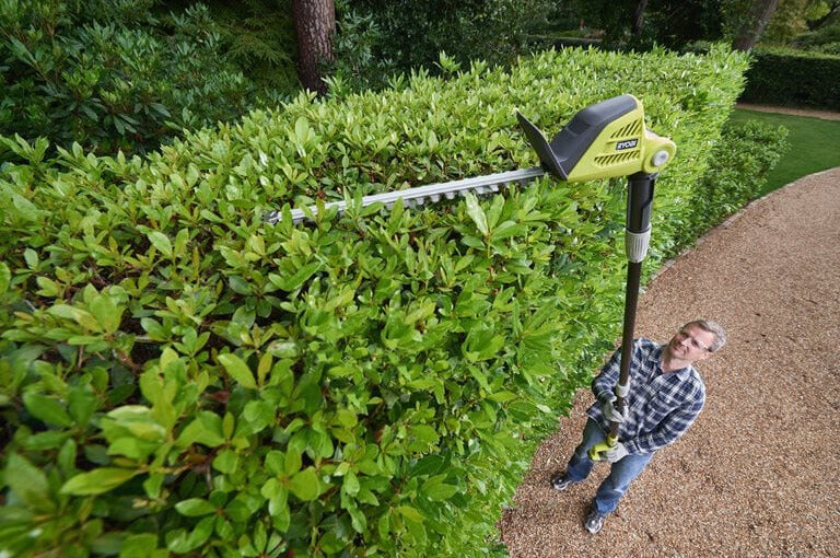 Ryobi RPT184520C 18V ONE+™ Cordless 45cm Pole Hedge Trimmer Starter Kit & Harness