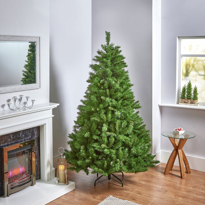 Premier Decorations 6ft Pre-Lit National Winchester Christmas Tree