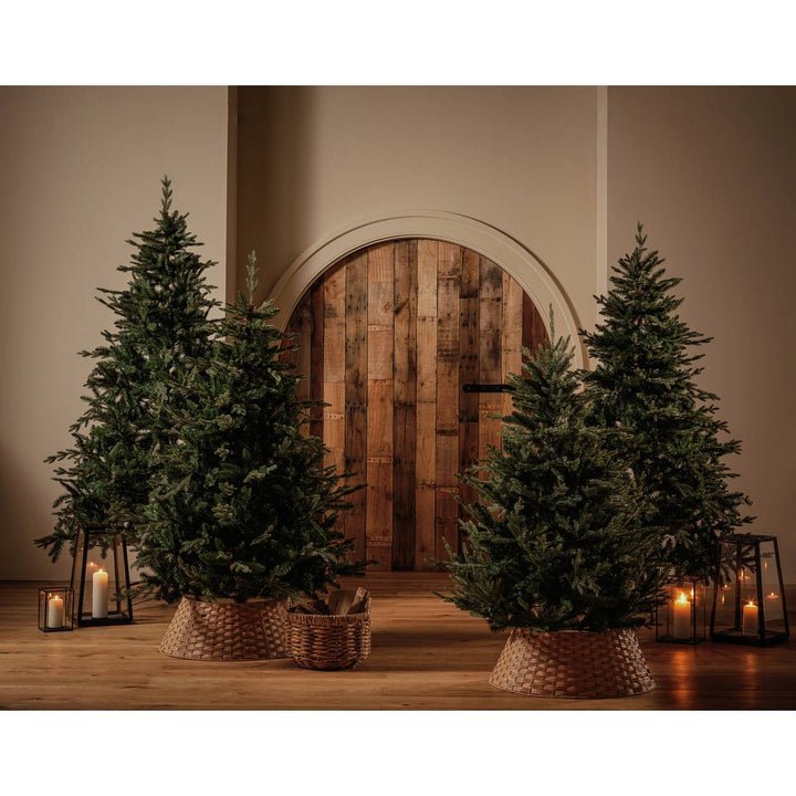 Habitat 5ft Natural Look Upswept Mixed Tip Christmas Tree