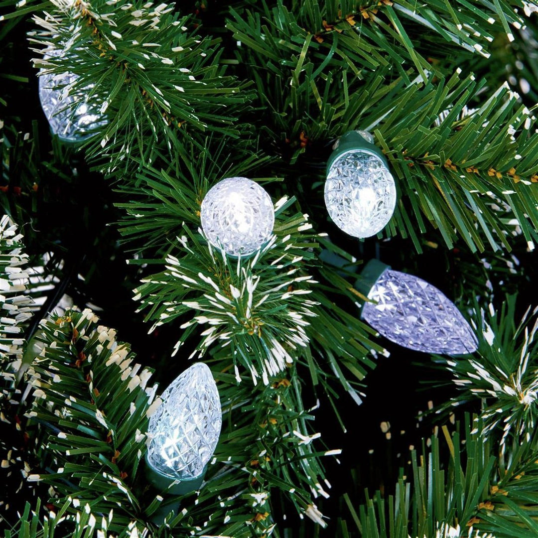 Premier Decorations 6ft Pre-Lit Rockingham Forest Frazer Christmas Tree