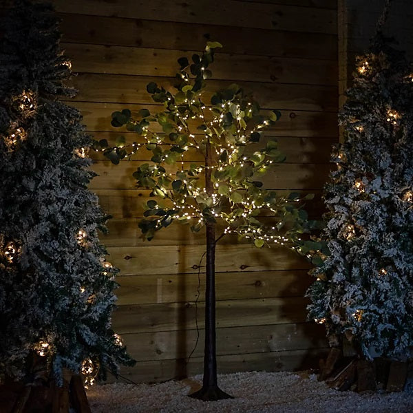Samuel Alexander 6ft Light Up Eucalyptus Christmas Tree with 360 Warm White LEDs