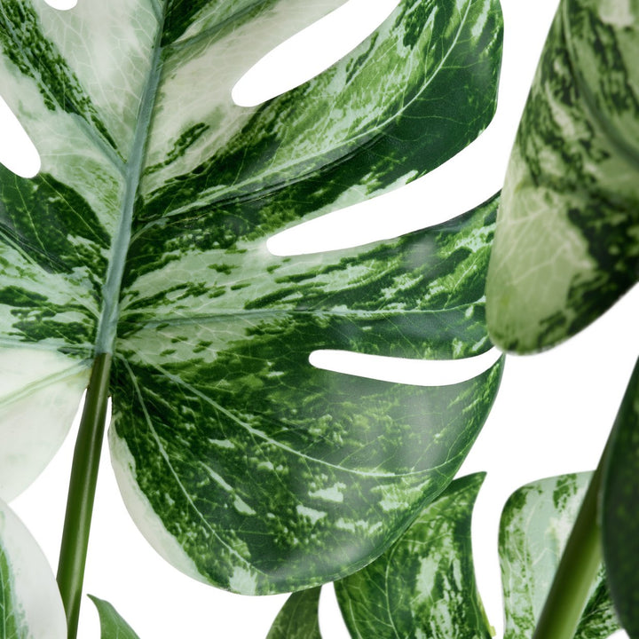 Habitat Large Monstera Plant in Ceramic