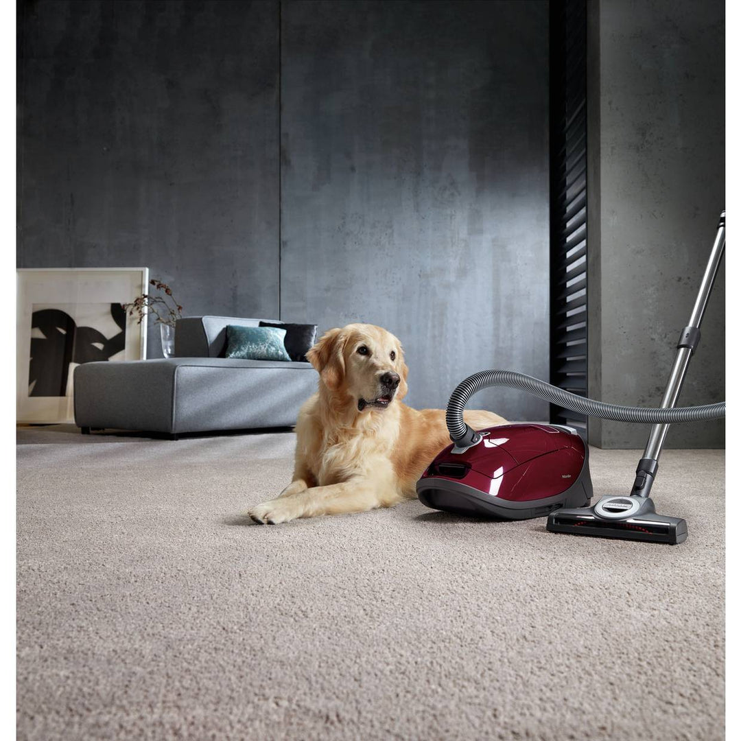 Miele Complete C3 Cat and Dog Bagged Cylinder Vacuum Cleaner