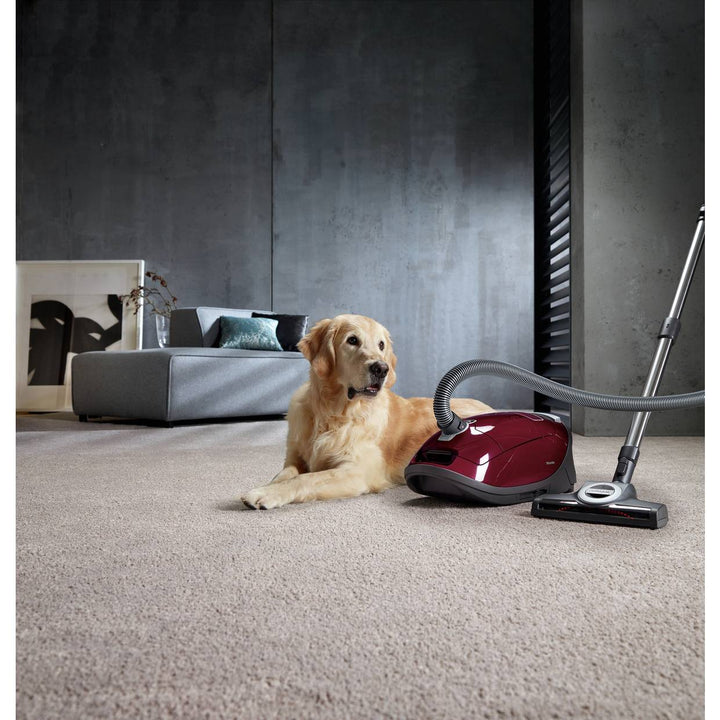 Miele Complete C3 Cat and Dog Bagged Cylinder Vacuum Cleaner