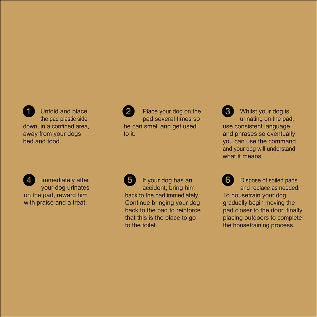 Puppy Training Pads - Pack of 100