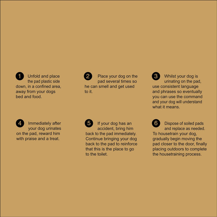 Puppy Training Pads - Pack of 100