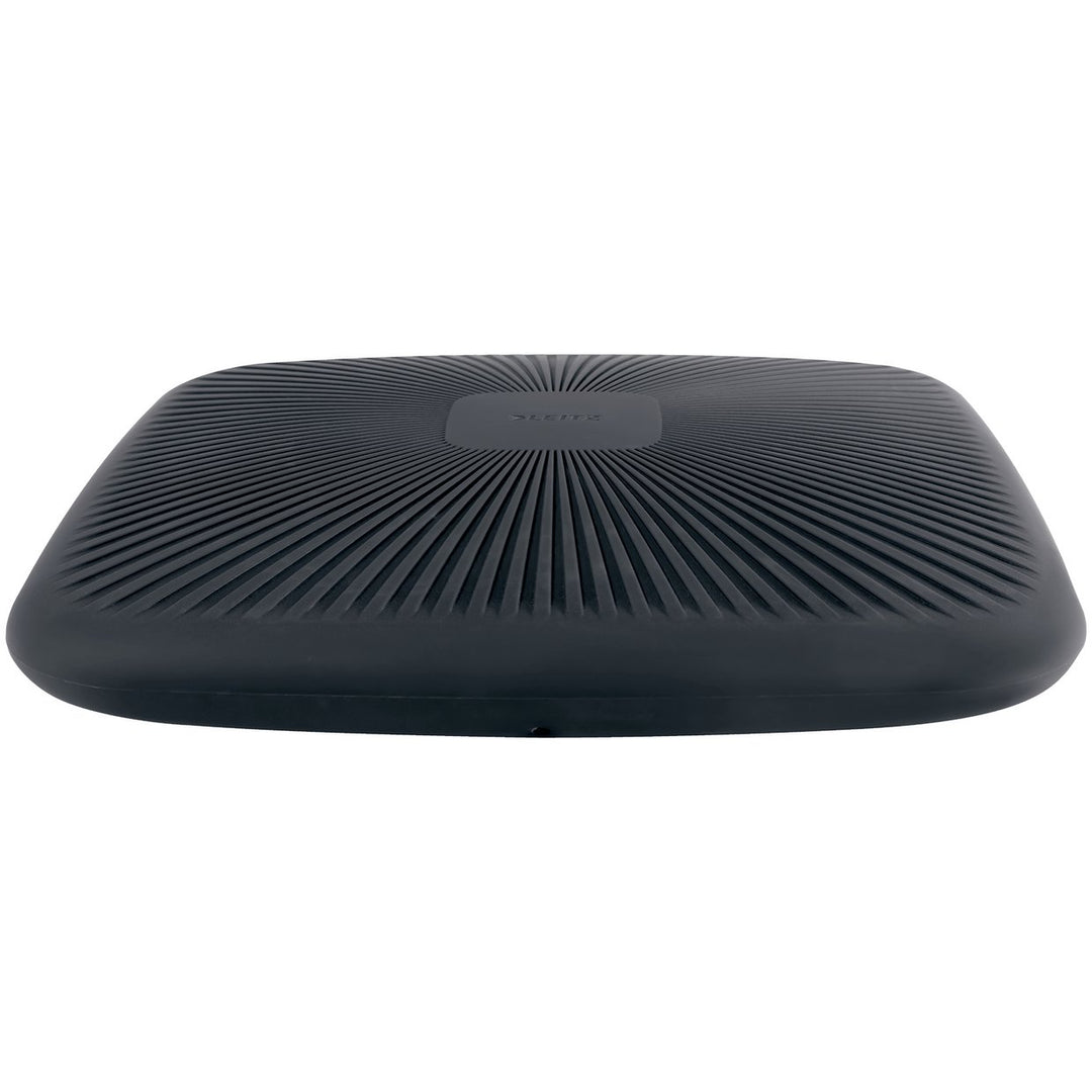 Leitz Ergo Active Wobble Cushion