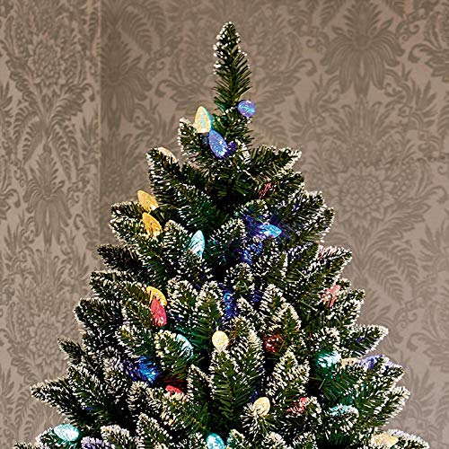 Premier Decorations 6ft Pre-Lit Rockingham Forest Frazer Christmas Tree