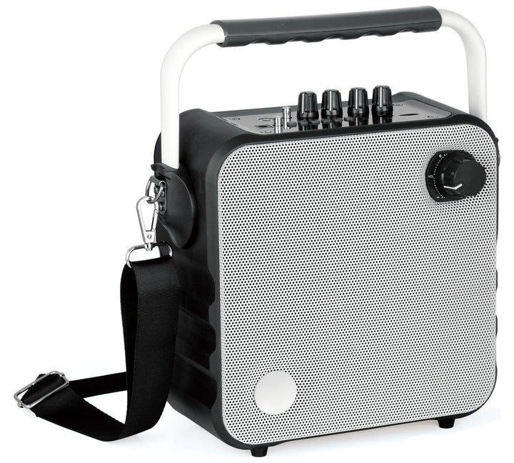 Mini Party Box Portable PA System