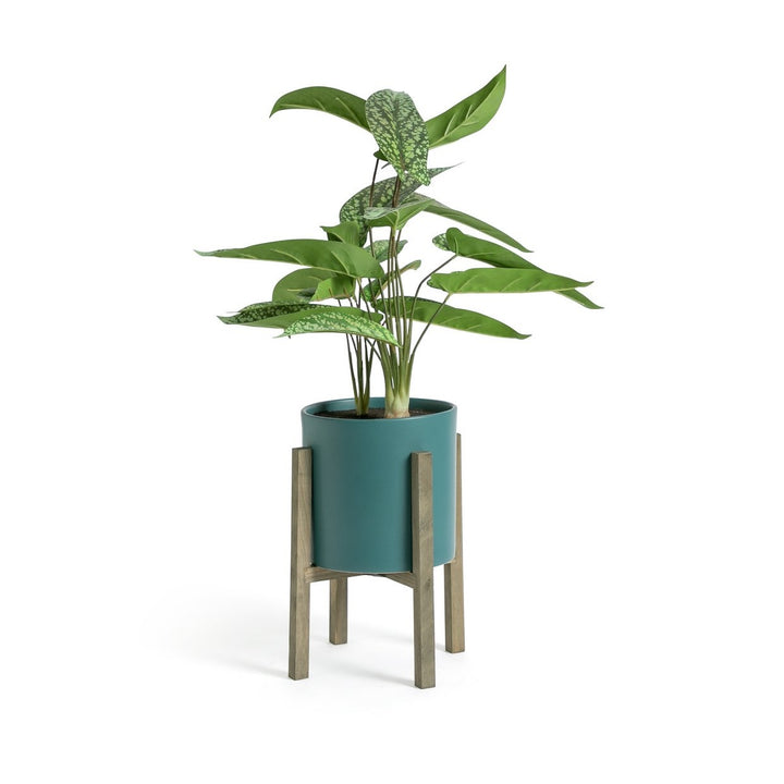 Habitat Large Faux Plant in Pot on Legs – Blue