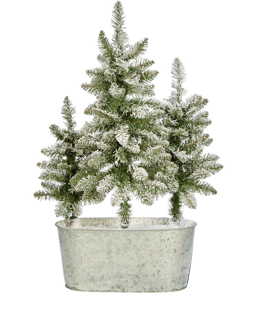Home Trio Of Snowy Christmas Trees In Pot