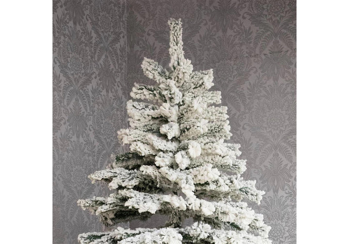 Premier Decorations 6ft Flocked Mountain Pine Christmas Tree