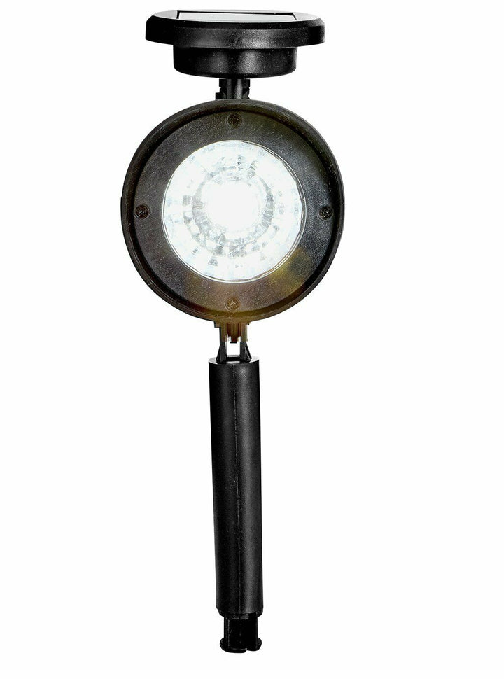 Habitat Set Of 4 Black Solar Spotlights