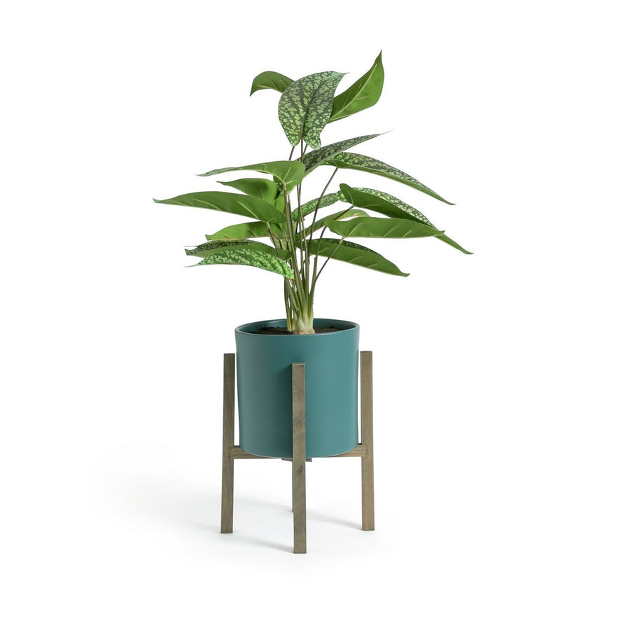 Habitat Large Faux Plant in Pot on Legs – Blue